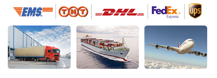 Qc11k-6x2500 Metal Guillotine Shear Guillotine Shearing Machine Qc11k-6x2500 Kovové gilotinové nůžky Gilotinové nůžky